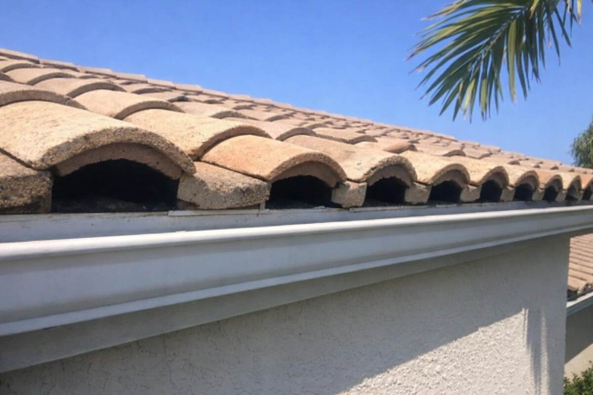 The open ends of a first course of barrel roof tiles at an eave