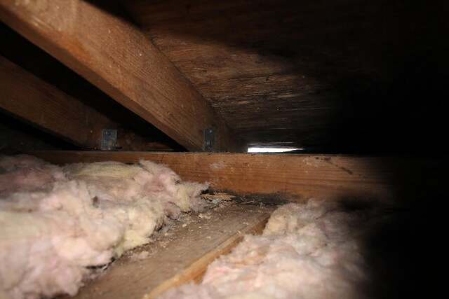 A dim attic corner where a carcass search begins
