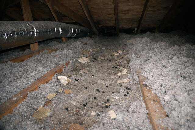 Old loose insulation and debris on the floor of an attic