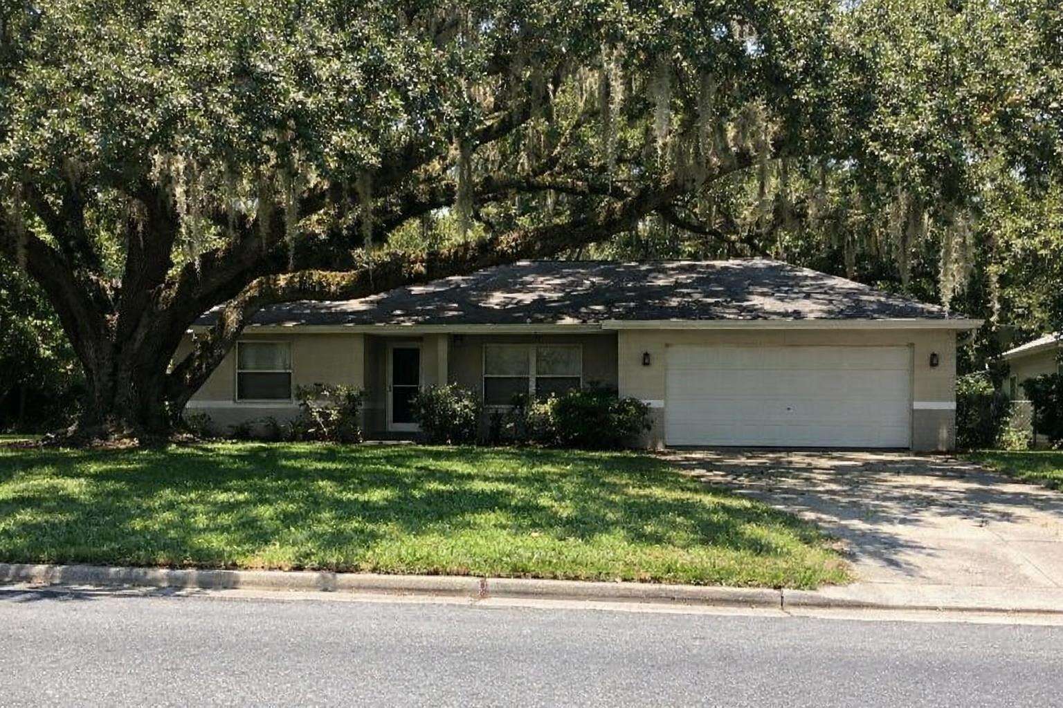 A spreading live oak over the roof of a single-story house