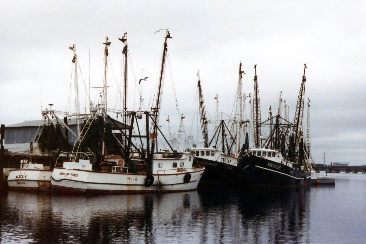 Shrimp boats tied up along a river waterfront