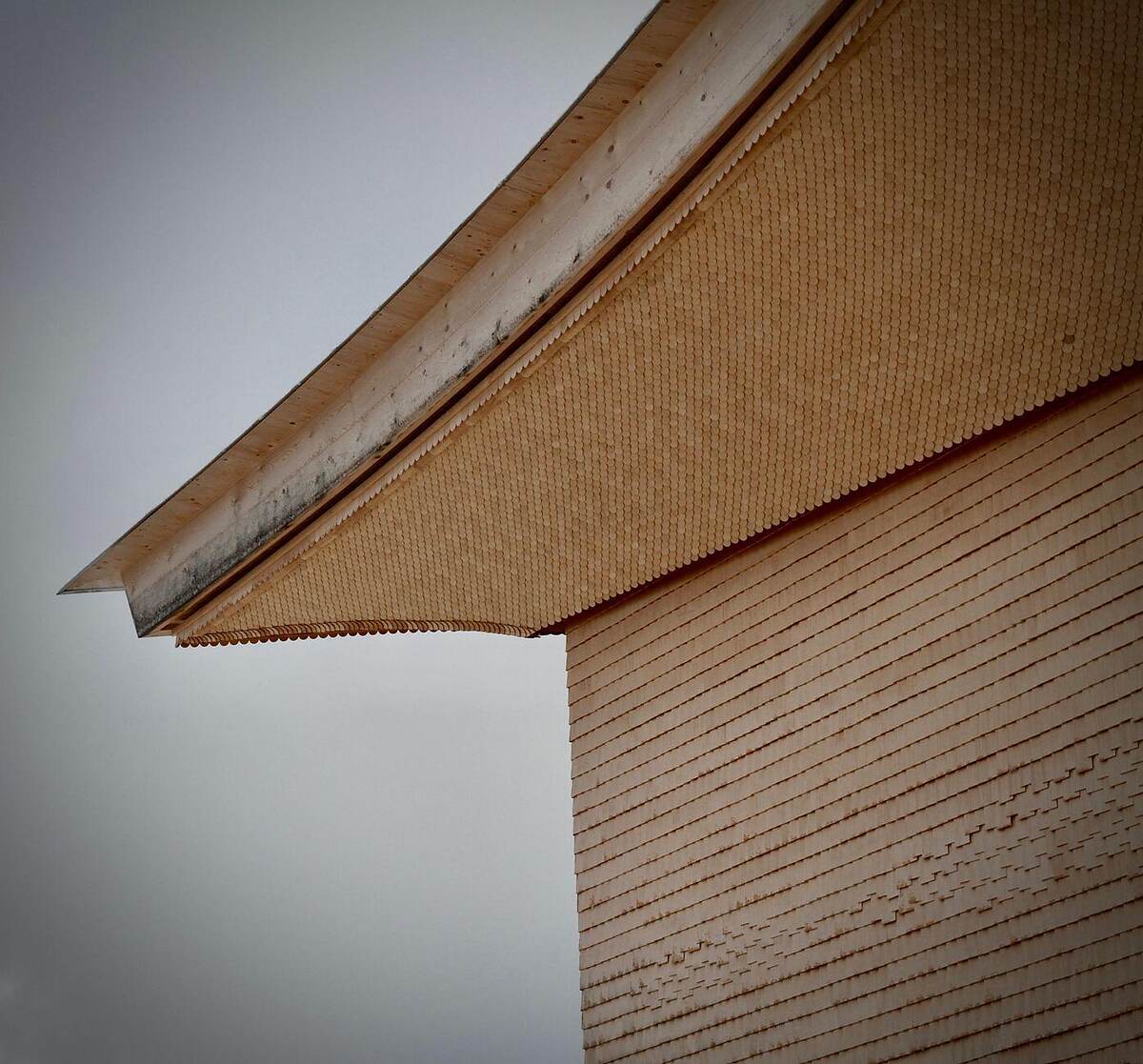 The underside of a soffit and fascia at the eave of a house against the sky