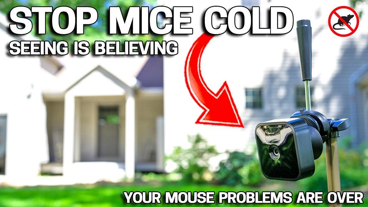 Video preview: EASY WAY to Get Rid of Mice in Your House FOREVER