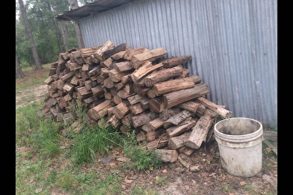 Split firewood stacked against the wall of a shed
